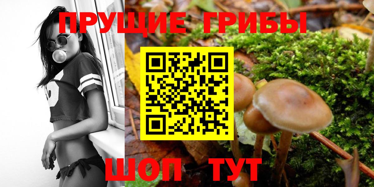 Галлюциногенные грибы Psilocybine cubensis  Галлюциногенные грибы прущие грибы  Темрюк  Вход с VPN 