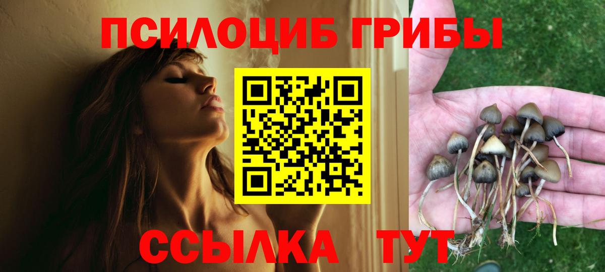Псилоцибиновые грибы прущие грибы Темрюк